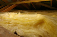 Foxt pitch roof insulation